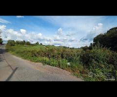 Palestrina Terreno Agricolo 7000 mq - 8