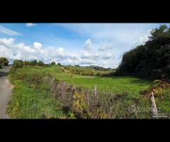 Palestrina Terreno Agricolo 7000 mq - 9