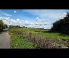 Palestrina Terreno Agricolo 7000 mq - 10