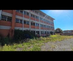 Paliano 6.6 ettari per polo Logistico - 17