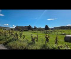 Paliano 6.6 ettari per polo Logistico - 23