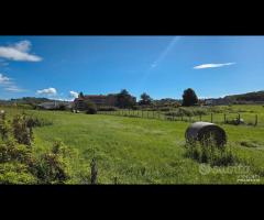 Paliano 6.6 ettari per polo Logistico - 24