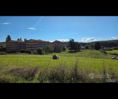 Paliano 6.6 ettari per polo Logistico - 25