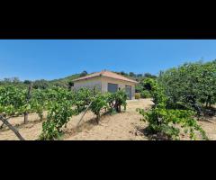Terreno agricolo 7,5 ettari Castiglione di Sicilia