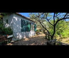 Casa con terreno a Presa Piedimonte Etneo