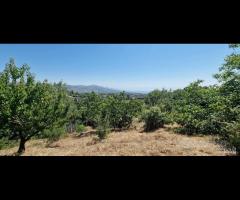Casa con terreno a Presa Piedimonte Etneo - 8