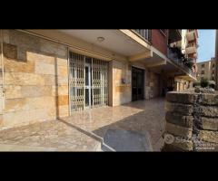 Palestrina centrale con due vetrine