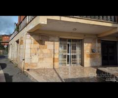 Palestrina centrale con due vetrine