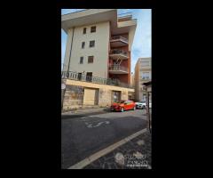 Palestrina centrale con due vetrine