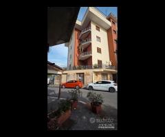 Palestrina centrale con due vetrine - 6