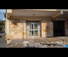 Palestrina centrale con due vetrine - 8