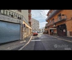 Palestrina centrale con due vetrine - 9