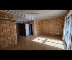 Palestrina centrale con due vetrine - 10