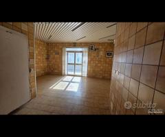 Palestrina centrale con due vetrine - 13