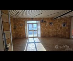 Palestrina centrale con due vetrine - 14