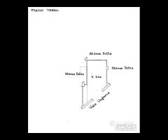 Palestrina centrale con due vetrine - 17