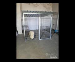 rete metallica,cancelli,box auto,box cane - 6