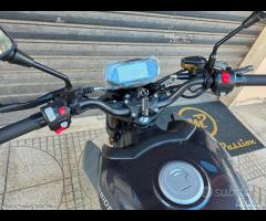 Morbidelli F125 ABS E5+ - 11