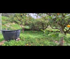 Rometta, funzionale terreno agricolo terrazzato