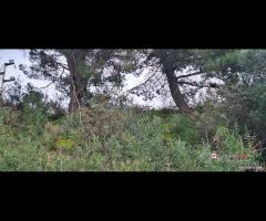Rometta, funzionale terreno agricolo terrazzato