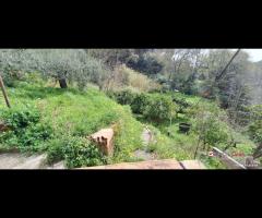 Rometta, funzionale terreno agricolo terrazzato - 6