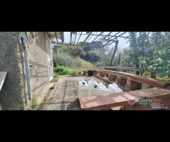 Rometta, funzionale terreno agricolo terrazzato - 7