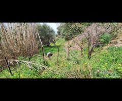 Rometta, funzionale terreno agricolo terrazzato - 15