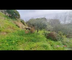 Rometta, funzionale terreno agricolo terrazzato - 16