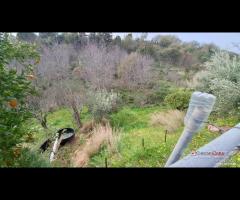 Rometta, funzionale terreno agricolo terrazzato - 18