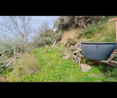 Rometta, funzionale terreno agricolo terrazzato - 19