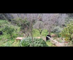 Rometta, funzionale terreno agricolo terrazzato - 20