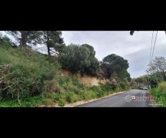 Rometta, funzionale terreno agricolo terrazzato - 22