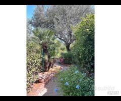 Terrasini proz.villa Bifamiliare rif.147/25 - 6