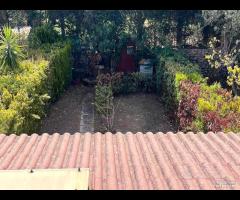 Terrasini proz.villa Bifamiliare rif.147/25 - 24