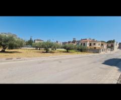 Castelvetrano terreno z. via roma 870 mq