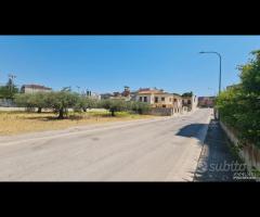 Castelvetrano terreno z. via roma 870 mq