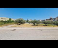 Castelvetrano terreno z. via roma 870 mq