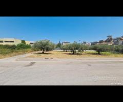 Castelvetrano terreno z. via roma 870 mq