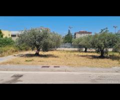 Castelvetrano terreno z. via roma 870 mq - 6