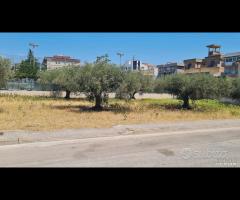 Castelvetrano terreno z. via roma 870 mq - 7