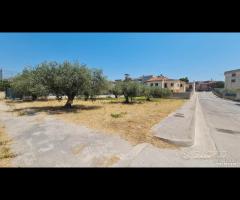 Castelvetrano terreno z. via roma 870 mq - 9