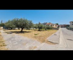 Castelvetrano terreno z. via roma 870 mq - 10
