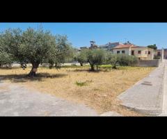 Castelvetrano terreno z. via roma 870 mq - 11
