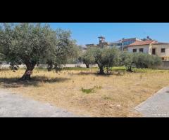 Castelvetrano terreno z. via roma 870 mq - 12