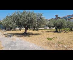 Castelvetrano terreno z. via roma 870 mq - 13