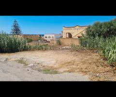 Triscina terreno lato mare di 815 mq - 6