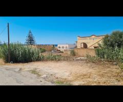 Triscina terreno lato mare di 815 mq - 8