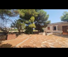 Triscina villa 6,5 vani + giardino a pochi passi d - 6