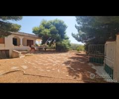 Triscina villa 6,5 vani + giardino a pochi passi d - 11