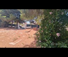 Triscina villa 6,5 vani + giardino a pochi passi d - 14